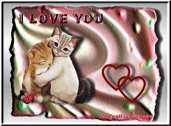 i love you