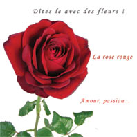 je t'aime