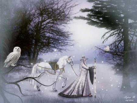 Magic-Night